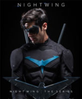 Nightwing: The Series / 